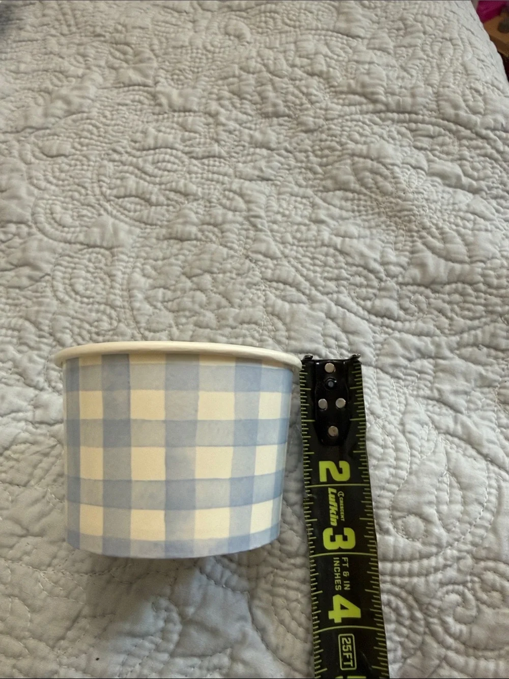Blue Gingham Paper Serving Tray, Snack Cups, Plastic Serving Trays